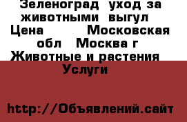 Зеленоград, уход за животными, выгул › Цена ­ 280 - Московская обл., Москва г. Животные и растения » Услуги   